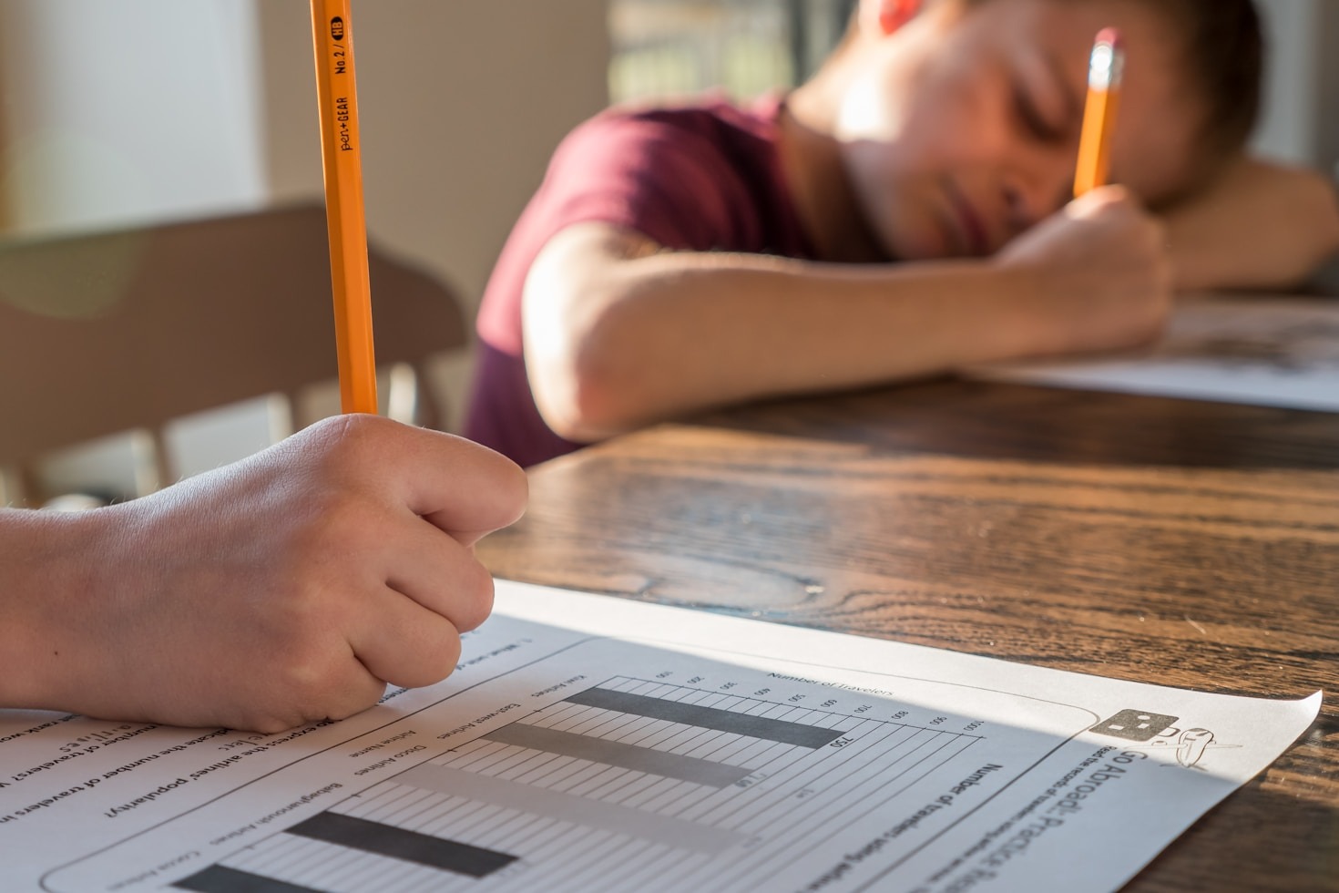 Apa Enaknya Belajar Model Homeschooling?